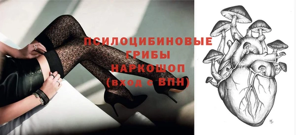a pvp Абаза