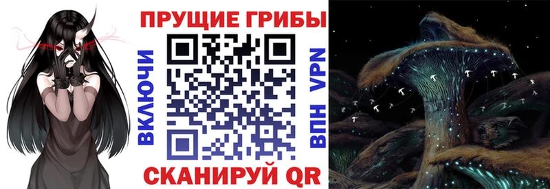 Псилоцибиновые грибы прущие грибы  Духовщина 